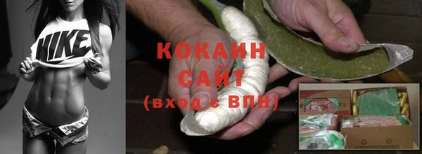 прущие грибы Навашино
