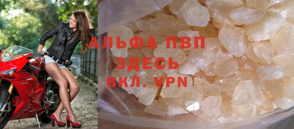прущие грибы Навашино