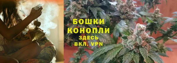 прущие грибы Навашино