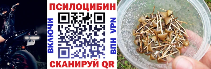 хочу наркоту  Камешково  Псилоцибиновые грибы ЛСД 